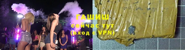 крисы Алзамай