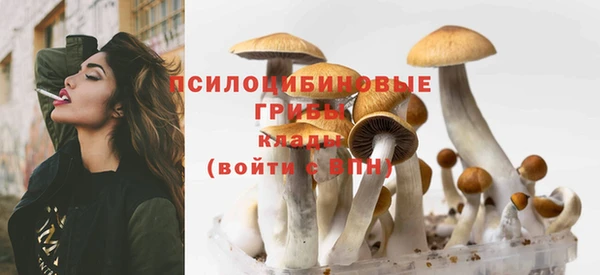 ПСИЛОЦИБИНОВЫЕ ГРИБЫ Алексеевка