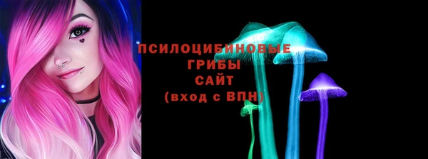 ГАЛЛЮЦИНОГЕННЫЕ ГРИБЫ Алексин