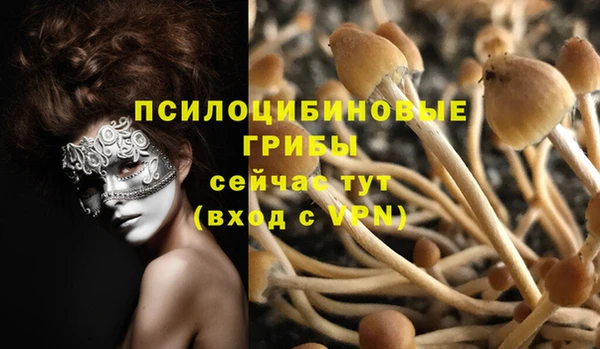 ГАЛЛЮЦИНОГЕННЫЕ ГРИБЫ Алексин
